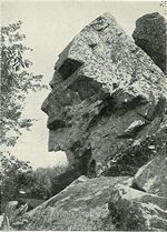 Profile Rock Assonet