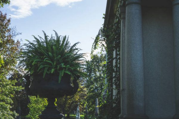 photo shows a potted fern sitting outside of a large cement mausoleum
