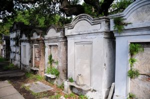 A row of above grounds tombs with ferns growing between them