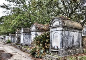 Lafayette Cemetery. A row of above ground tombs with a palm tree growing out of one