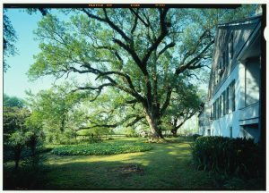 Magnolia Plantation — Acres of Hallowed Ground - Photo
