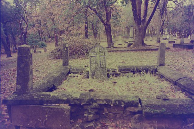 An overgrown cemetery plot