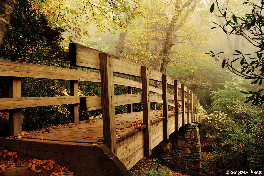 A photo of a wooden bridge, support by brick pillars, leading across a stream. Shot at the ground level of the bridge.