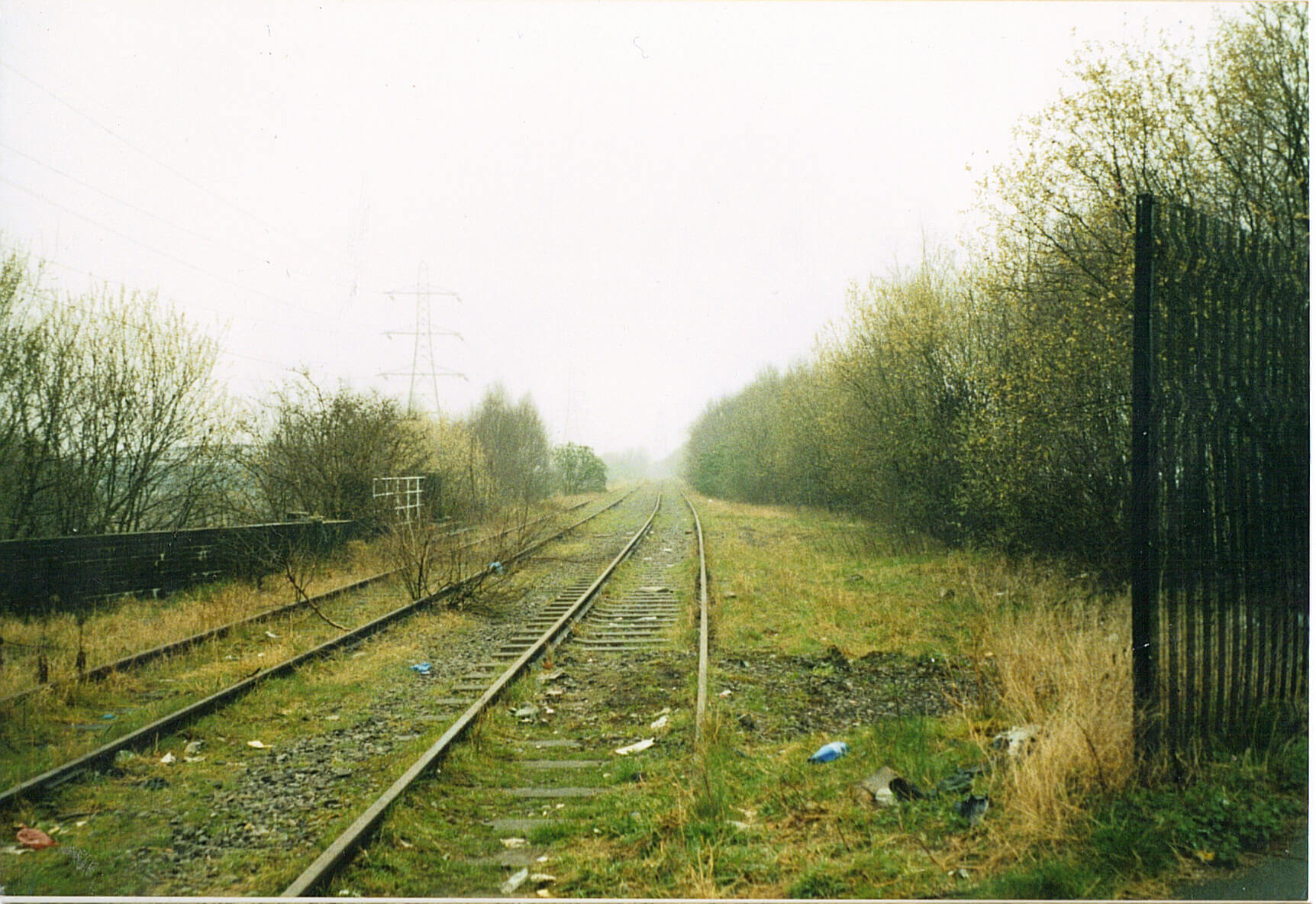 A railroad track covered by overgrown grass