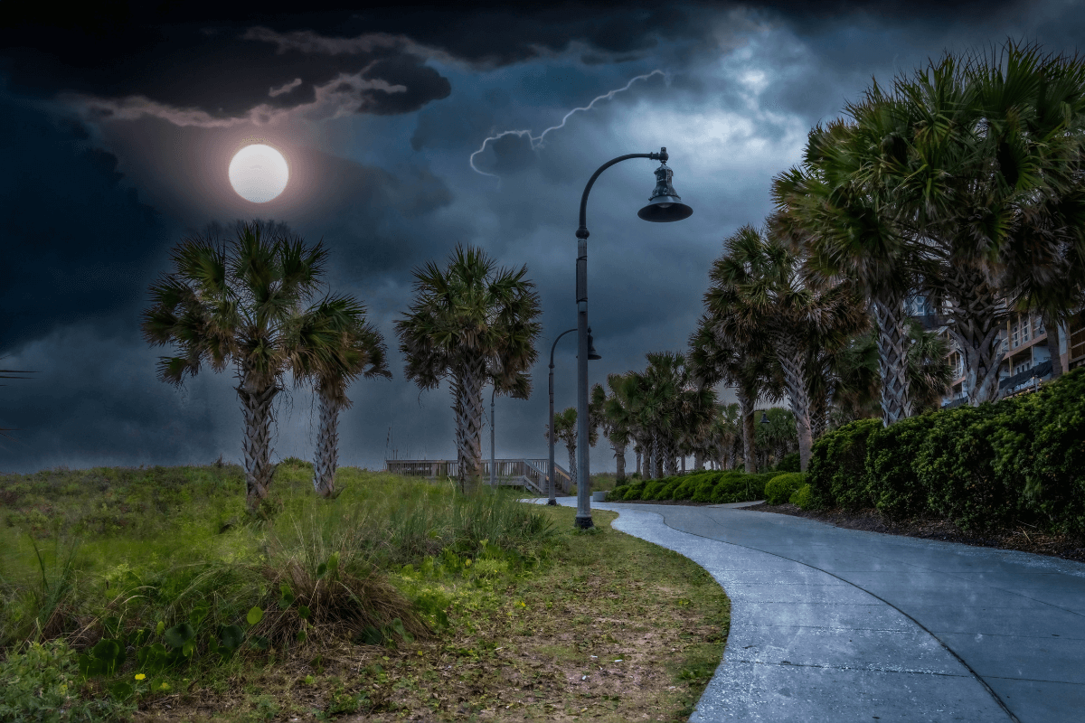 An overcast grey and black sky covering palm trees and a bike path.
